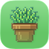 Lawn